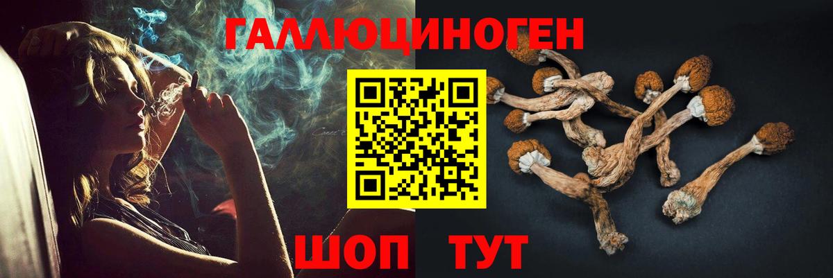Мытищи  Галлюциногенные грибы GOLDEN TEACHER  Вход с VPN 